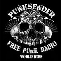 Punksender n.e.V.