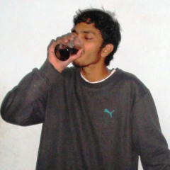 ravi meena