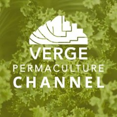 Verge Permaculture