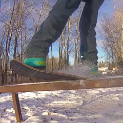 I don't trust all dogs