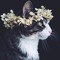 sarahm1128