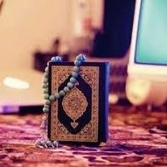 عمر عبد الكافى