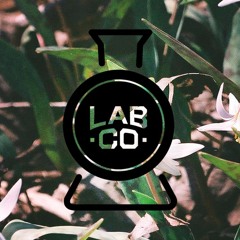 LAB  CO.