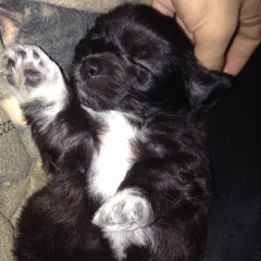 Joseph Garcia Maestas