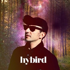 Hybird