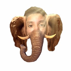fuckinjoe