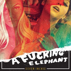 A Fucking Elephant