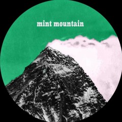 Mint Mtn