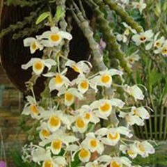 Quán Nhậu Toàn Em