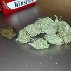 Sheitan Sheitan