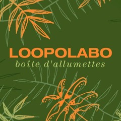 Loopolabo