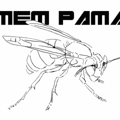 MEM PAMAL - Time  - (Remix)