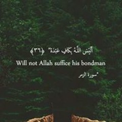 Omnia Selim