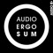 Audio ID - audio ergo sum