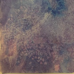 Tommy Lee Double You