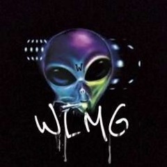 WILDLIFE MARSHEN GANG