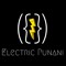 electricpunani