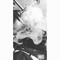 Dopedod