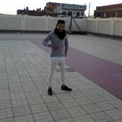 Hossam Fekry Alkaisy