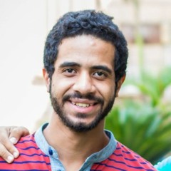 Adel Abd Elfatah