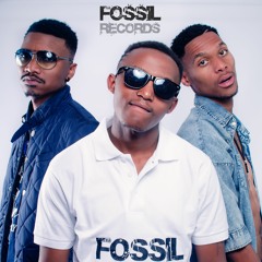 fossil records corp
