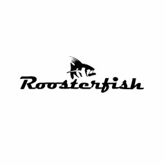 Roosterfish
