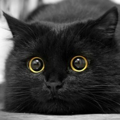 MаKаR