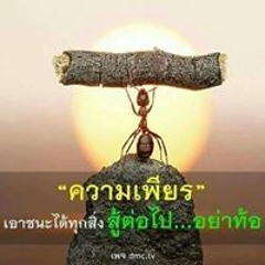 Ti Ti