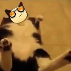 José Marcos González