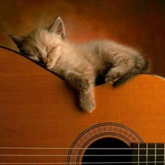 يامسا الجمال - ?