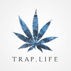 mr.trap
