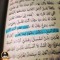 Mena Magdy