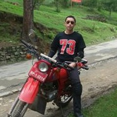 user281435264