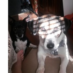 "Kiss Me I'm Psychic"