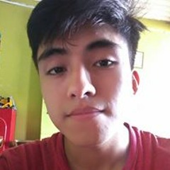 Jose Portillo Flores