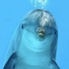 おかえり 【のんのんびより りぴーと】 【NEUTRINOカバー】