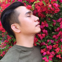 Ngoc Minh Lam