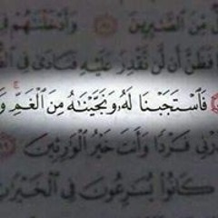 Ahmed Gamal ElBoraie