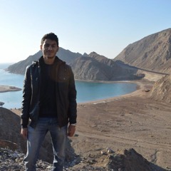 Ashraf Mahmoud