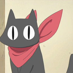 TimmaX