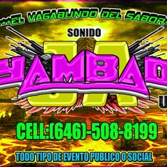 sonido yambao usa