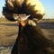 AfroChicken