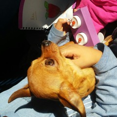 Melanie's sound cloud