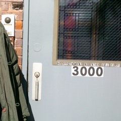 Trespasser 3000