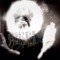 DexFinesse