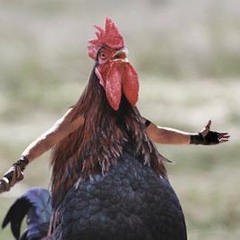 The Sexy Chicken