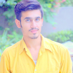 Harry Rajput