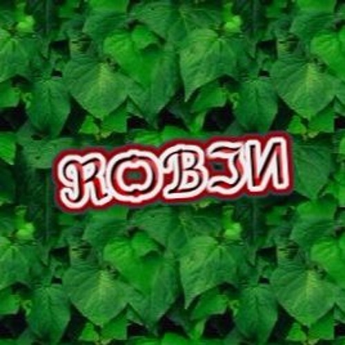 ROBIN’s avatar