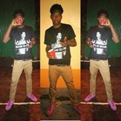 Kenson Priceless Gaskin