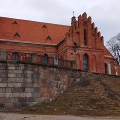 dario giovanni guantanamo